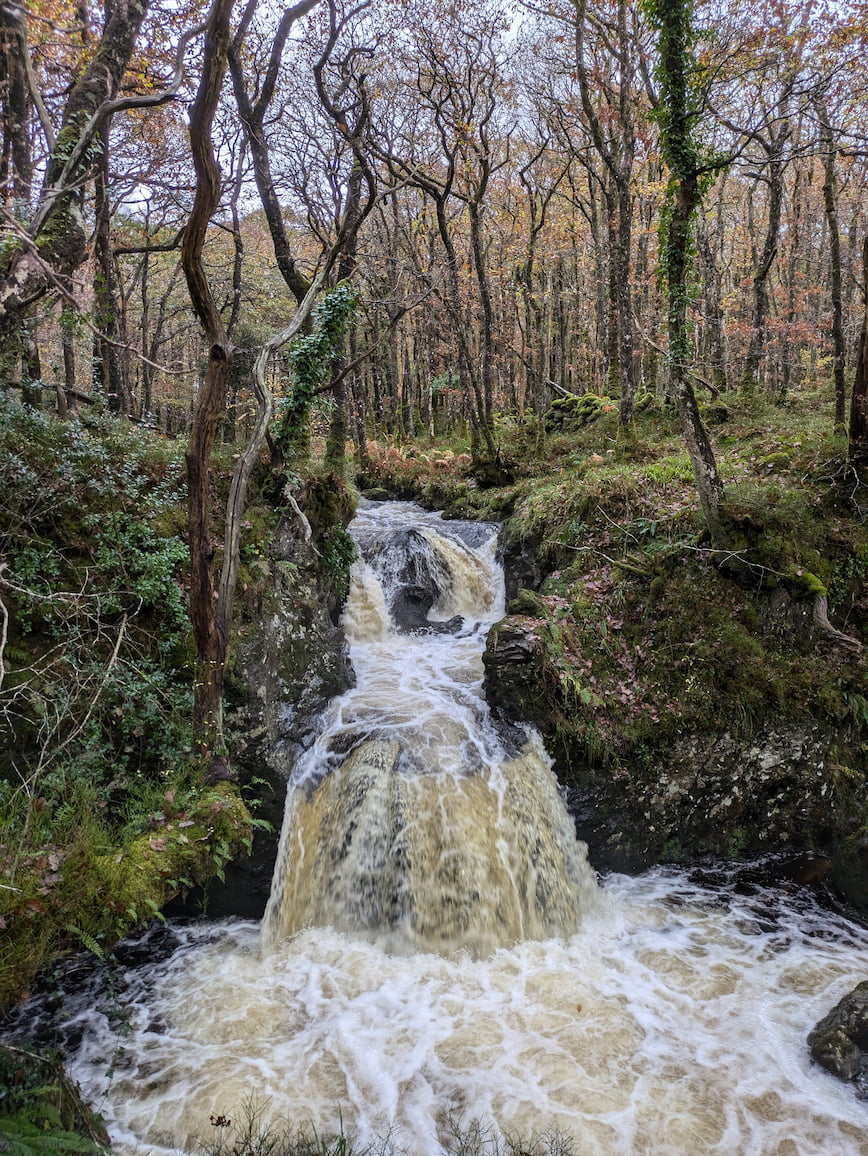 A waterfall on a walk